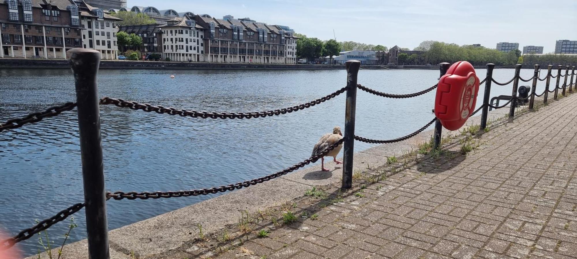 Riverside 3Br With Easy Transport 20Mins To City Centre Londres Exterior foto