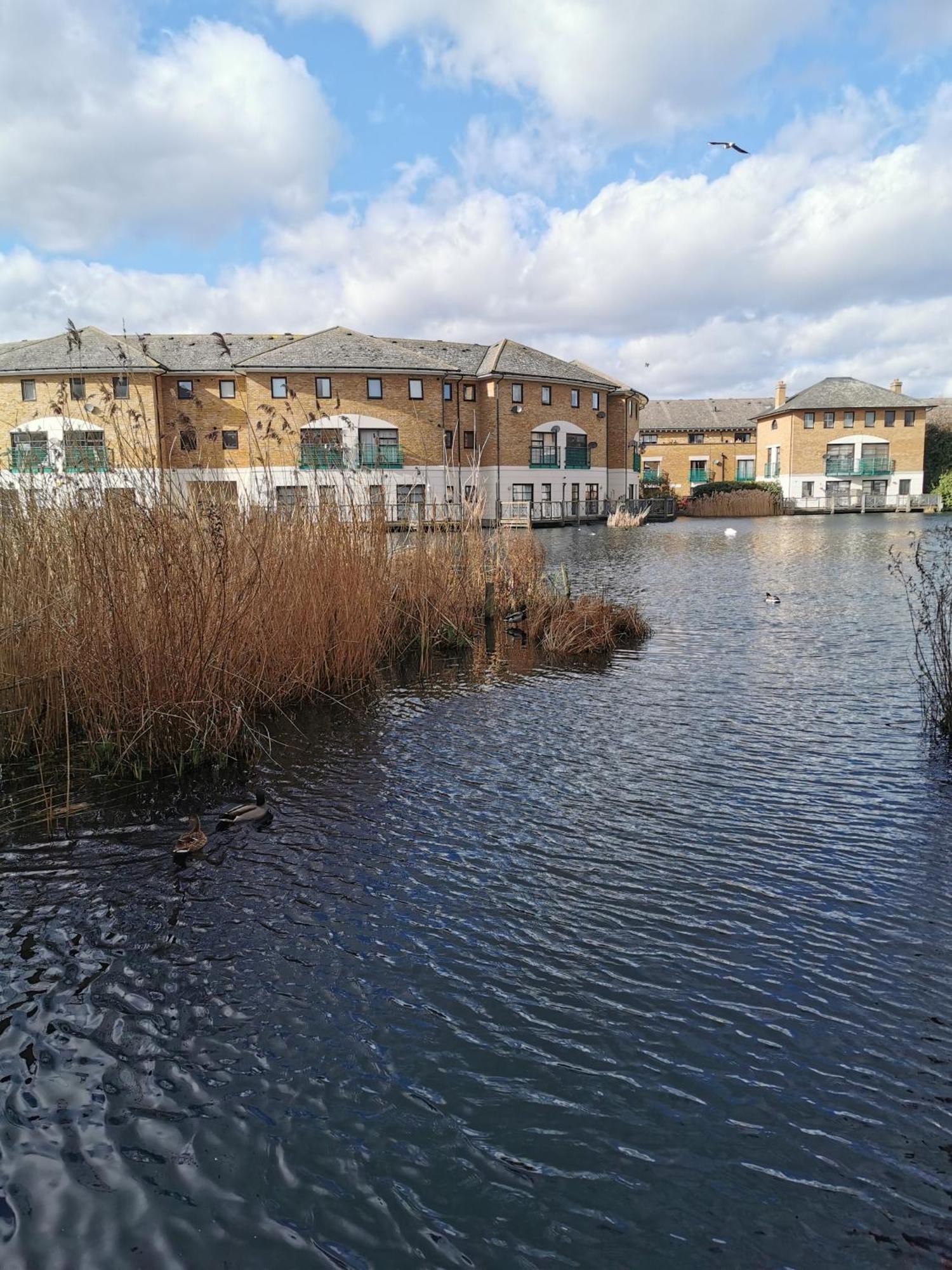 Riverside 3Br With Easy Transport 20Mins To City Centre Londres Exterior foto